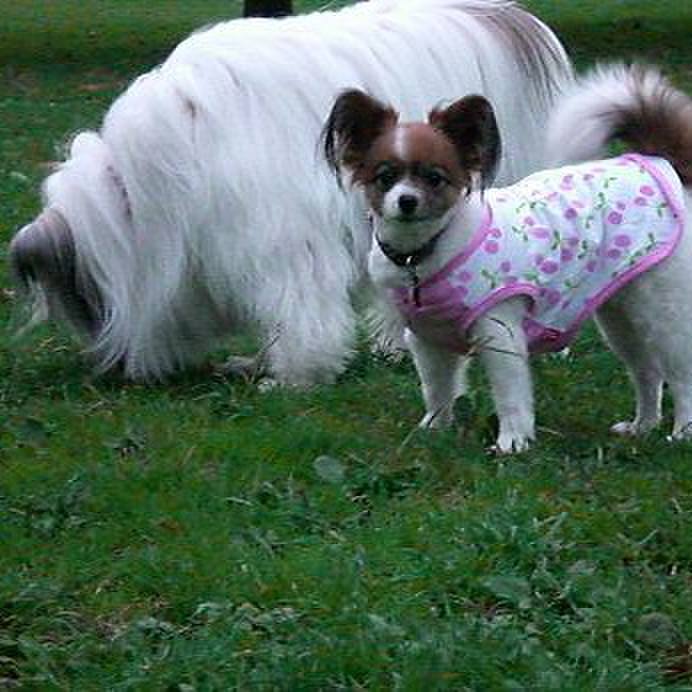 3ef7dcfd 9719 42ae af71 bf87c637b345