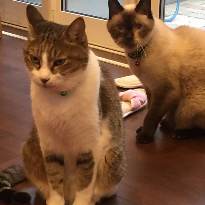 3ef873ed d4b4 4dc7 98e7 071867f2373e