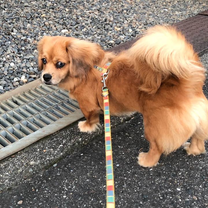 3ef8acab 8ba9 4f02 ac26 a90d93631399