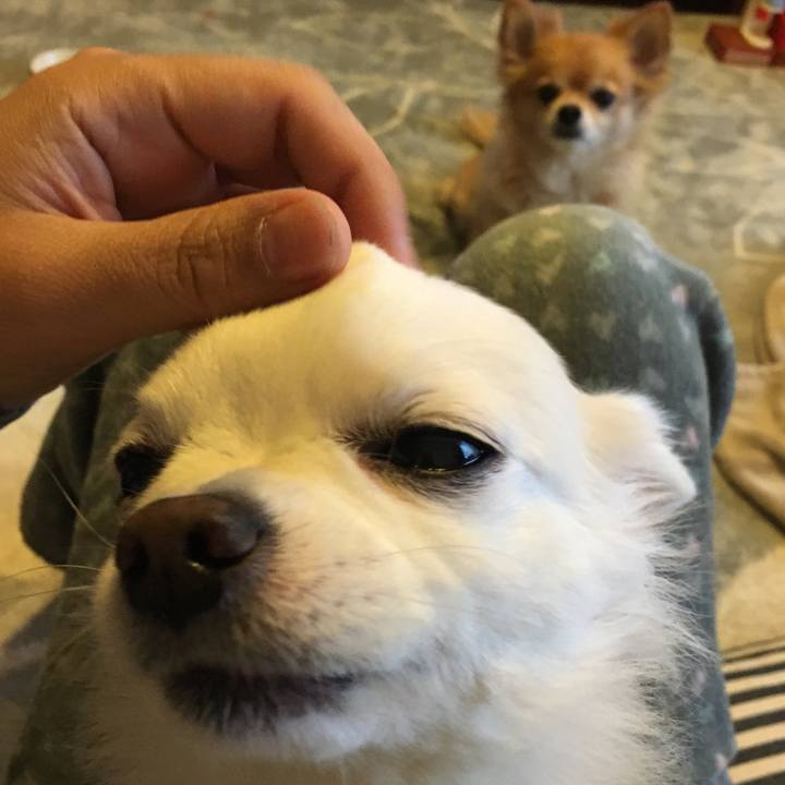 3ef8e13a b751 4230 b7a6 58b3a371e7de