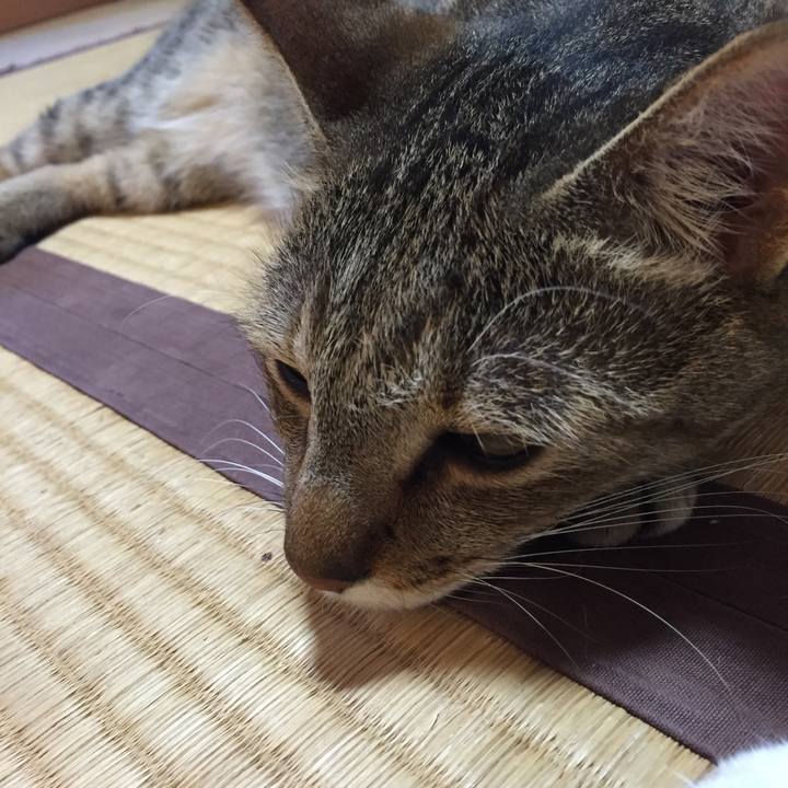 3ef95f00 0e63 4342 81e1 a7f0bd8f0f06