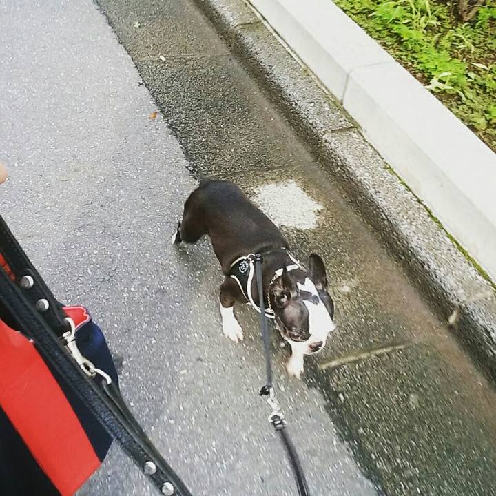 3ef9a2f3 07fd 4043 97d7 dc56070bd14b