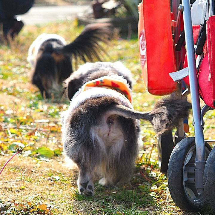 3efa326b c714 45c2 9487 971bcf53d8a0