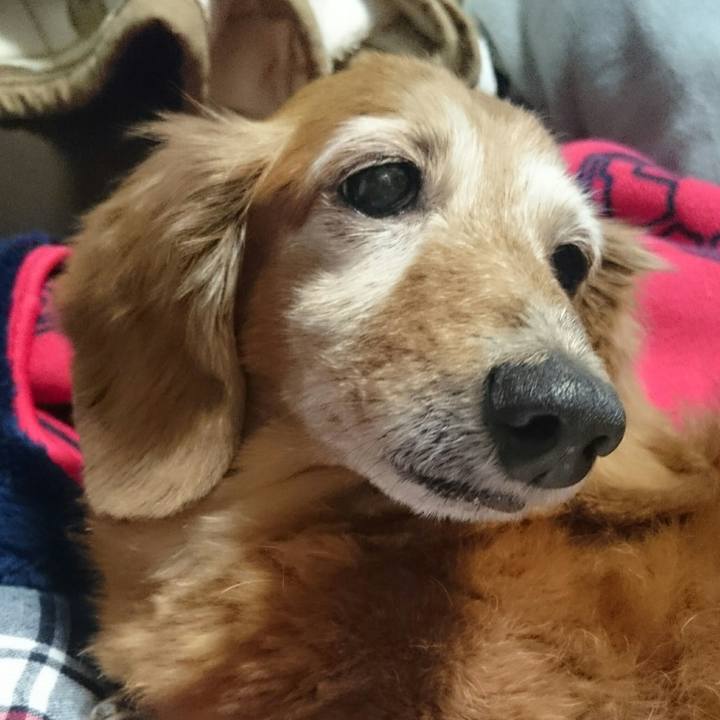 3efa56dc 1f9f 4e2b ae68 b39fe0df5eba