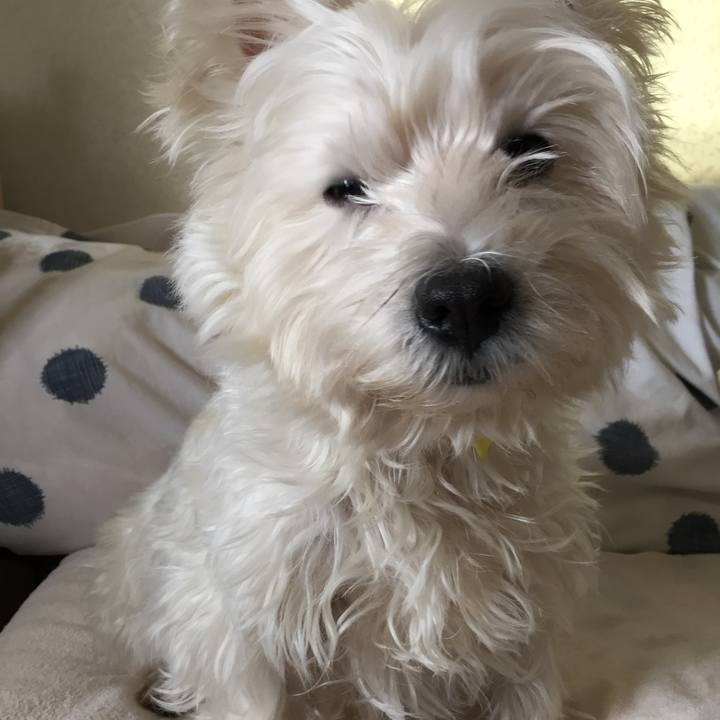 3efaffde ec4e 4b25 894a c63352cee7ed