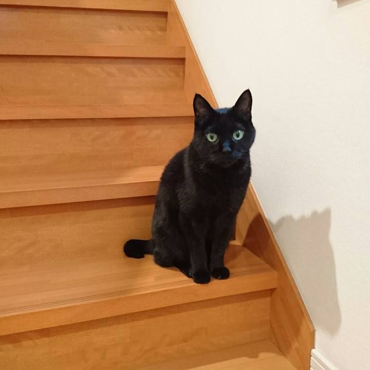 3efb1aec 9708 4515 b286 80ce0615bb5b