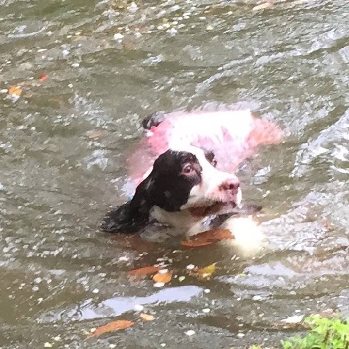 3efb3cb7 a8ff 4563 9041 0e7c19242387