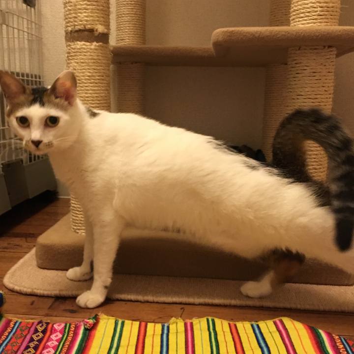 3efb6656 15ca 4c79 9eb9 a247437972a6