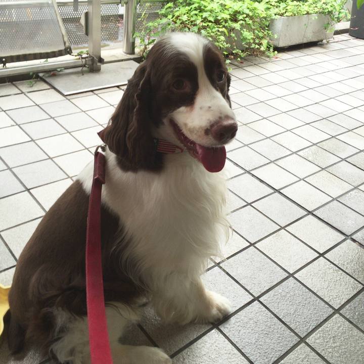 3efb7886 d7bb 4e07 b431 5ef4d26204a1