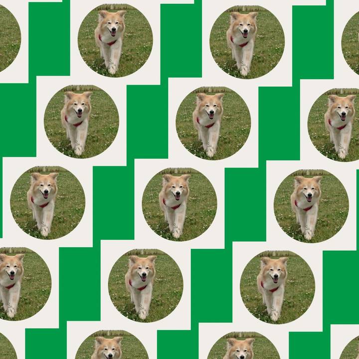 3efb82cc 0d62 41f0 884b 97c065da9936