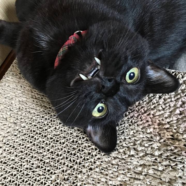 3efda75a 920e 4459 91da d4b31d519874