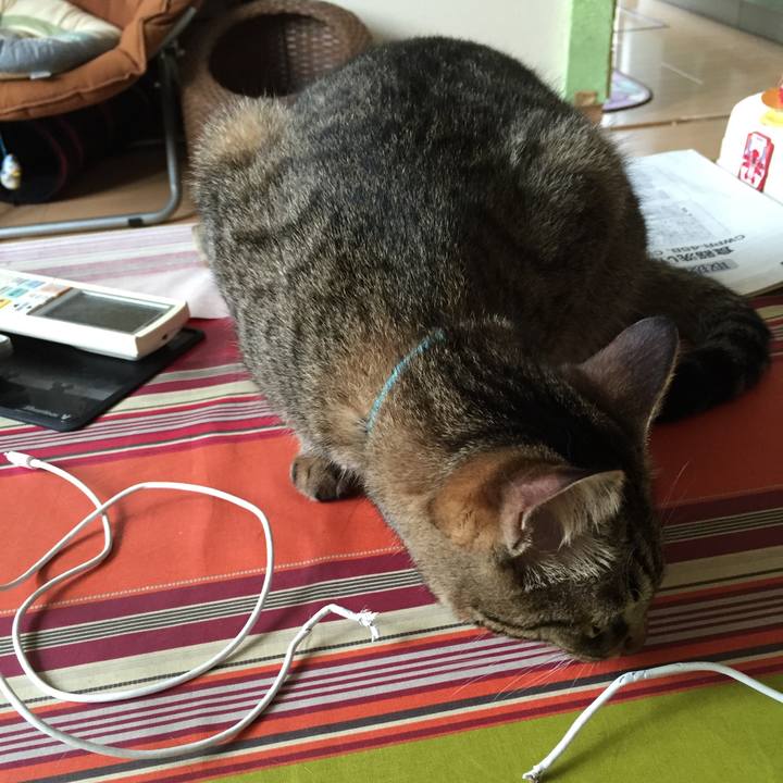 3efdcb33 c8b5 4361 a0fd f0922039b164