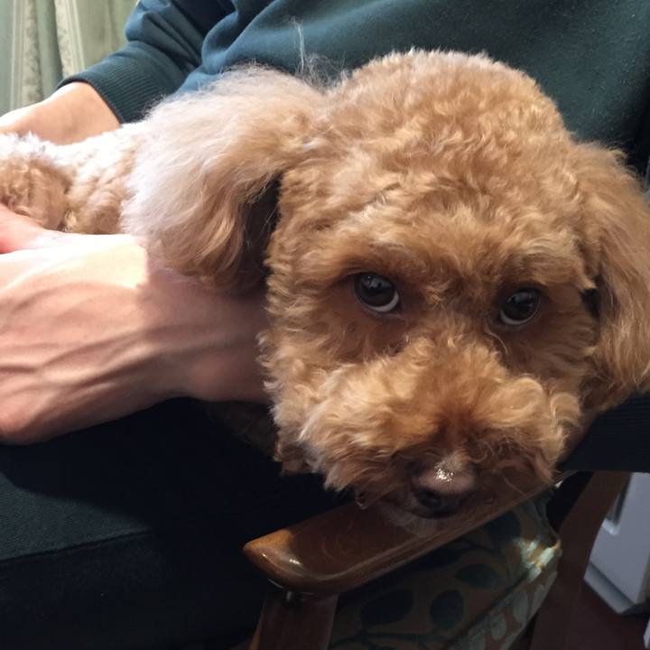 3efe1e33 fc9b 4400 aabb 63dd6c2c2e9d