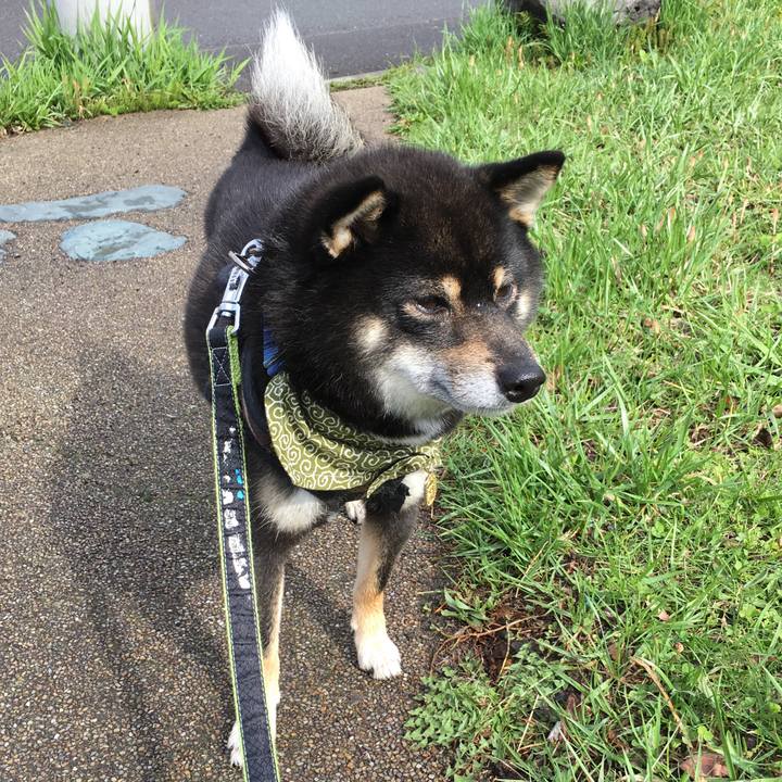 3efee42d 7435 4bc1 9e65 151403dda53d