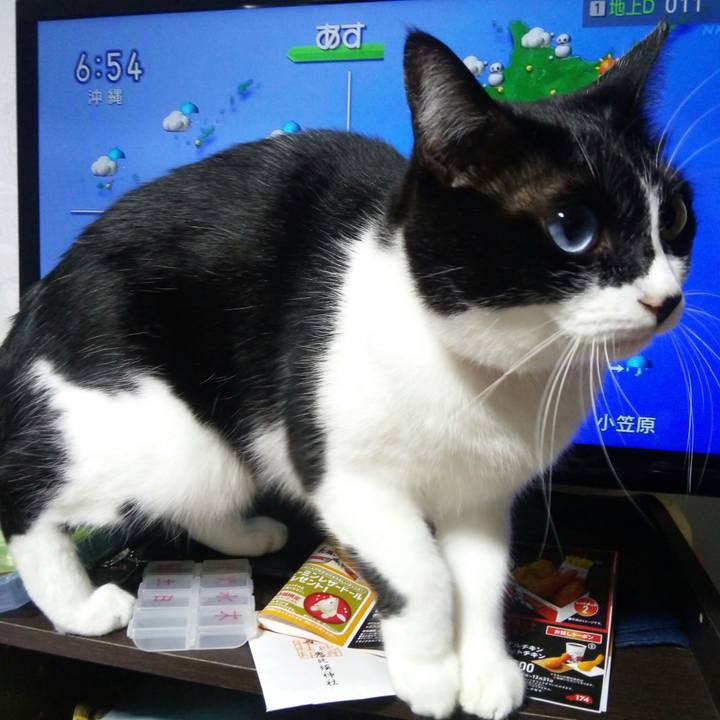 3efee864 0881 479b bcfb cde03464dc32