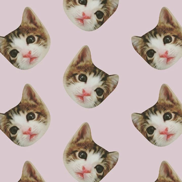 3eff622c fe9e 4c86 8bc1 ca42120c4015