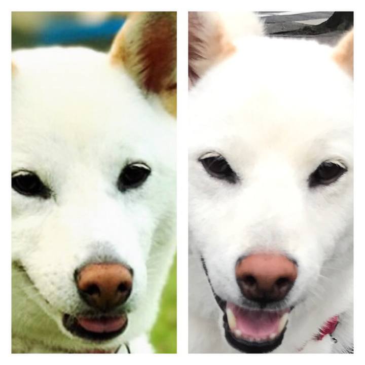 3effe438 c16f 4854 aa62 665f06167510