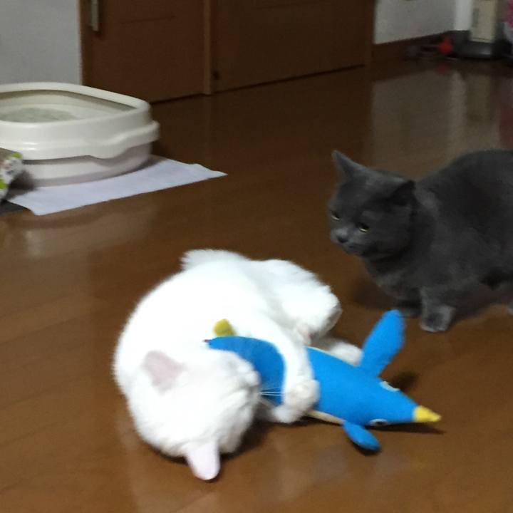 3f01f1f3 c650 4a1e ab94 bc8f6ed27bdb