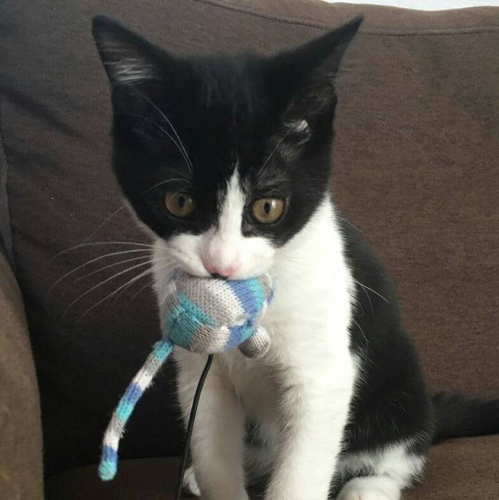 3f02bf55 5f49 4e32 9400 254da08635c5