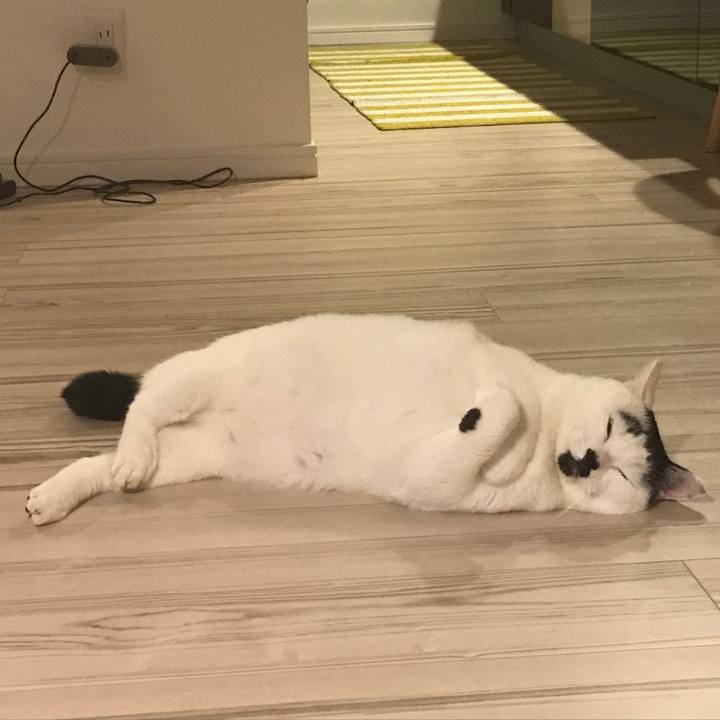 3f02de1a 5633 4c3d 8703 d78562a33710