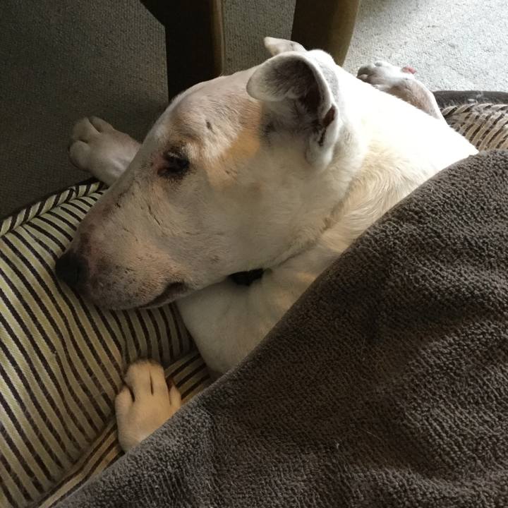 3f02eda4 8a1d 44ab 86e9 b82db79e1096