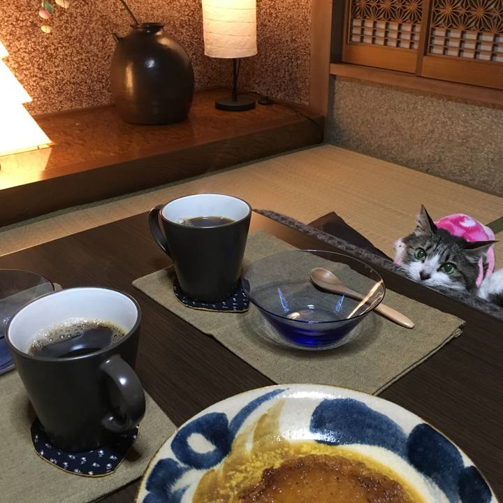 3f03e810 827a 43f3 a2b4 9792d7c3d586