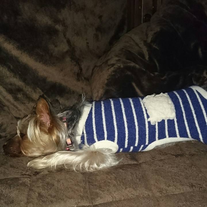 3f03f5ea e6bd 4054 a0fc 42efb9b4efaf