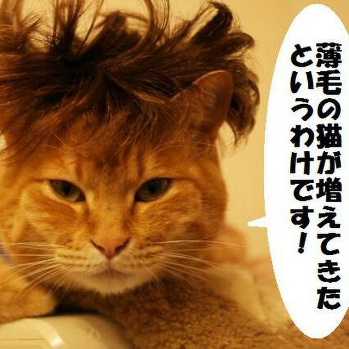 3f048241 e2a3 4992 a639 34f87b2213a0