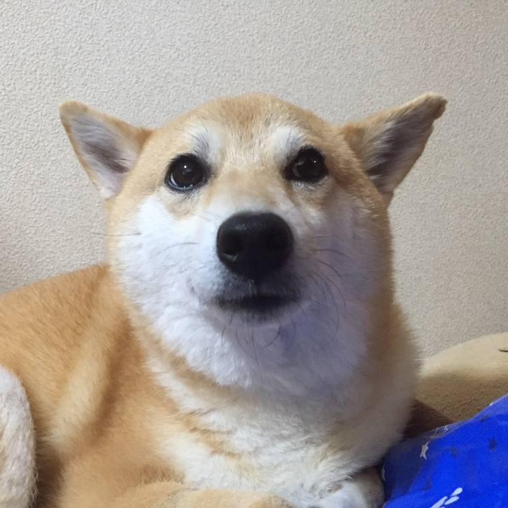 3f048720 4fa7 42a0 91ec 3018231c18f1