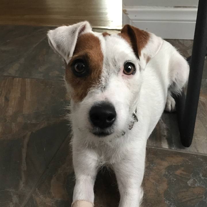 3f052fb5 3688 4744 896f e57c65be7f50