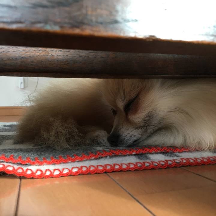 3f05bb71 0988 4824 9364 152503ecdf7c