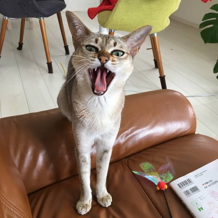 3f063e01 8211 4406 9a05 c506545a5ad4