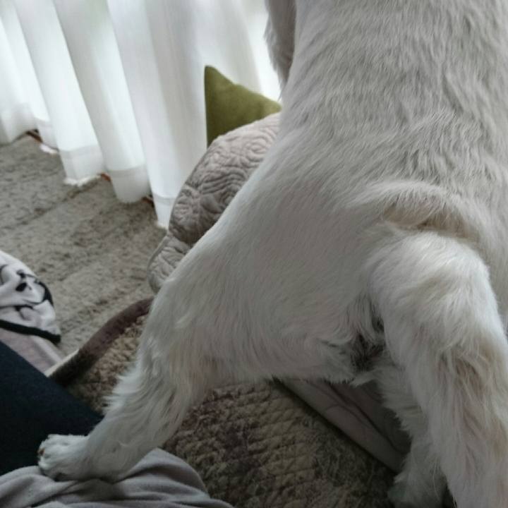 3f0658e7 096c 4dfb 8b17 519359223cbc