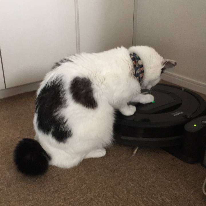 3f06923a 06f0 4f57 95b5 dd69724e4c65