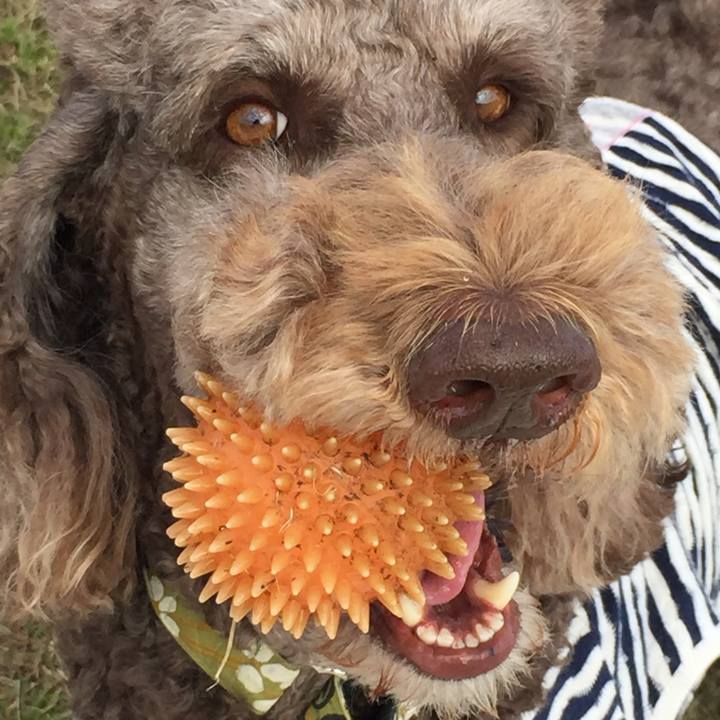 3f071b01 36ed 4db6 ad3a fb0b2532b220