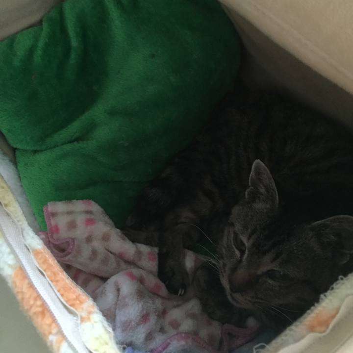 3f08ab47 8f1f 4107 921c ae0cf6ed4caa