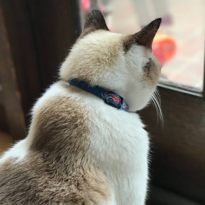 3f08d5ba 5066 4467 99aa dbce0c3de081