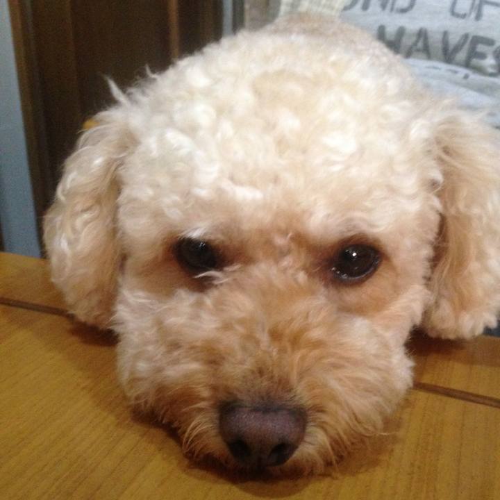 3f092590 1e2e 4be8 a8d0 ef7d3e8df2be