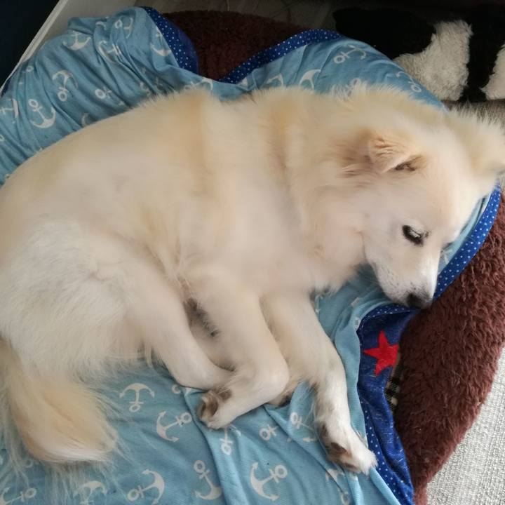 3f093712 8a75 412b 9d60 d32280d46251