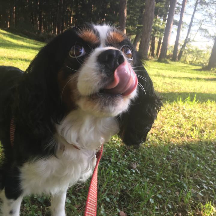 3f0a7165 2dc0 4bf2 b788 60e8a1c9dcdc