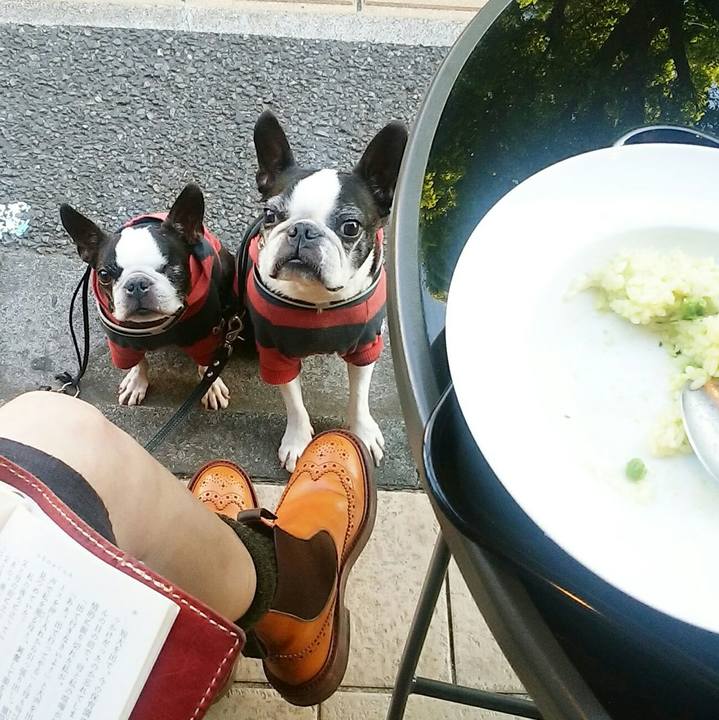 3f0b4741 1c05 4db4 9c97 6ec7aa26937e