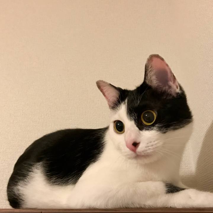 3f0b7cf8 9d60 47ba ad46 17141d5ddbe5