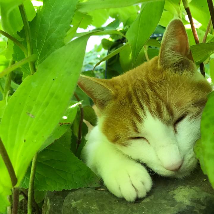 3f0c025f 247f 4ba3 a339 ab8b9dc2e921