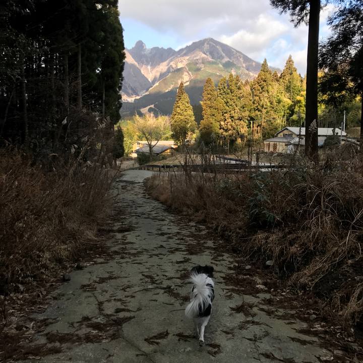 3f0c32c9 f903 448d ad62 1c3a9ae48a34