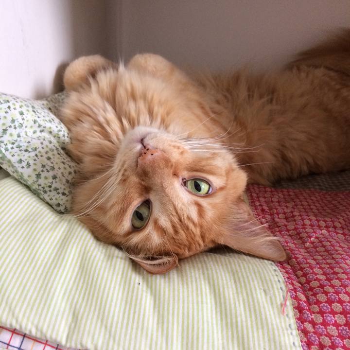 3f0c6033 8e32 4021 b08a 65962791ae9b