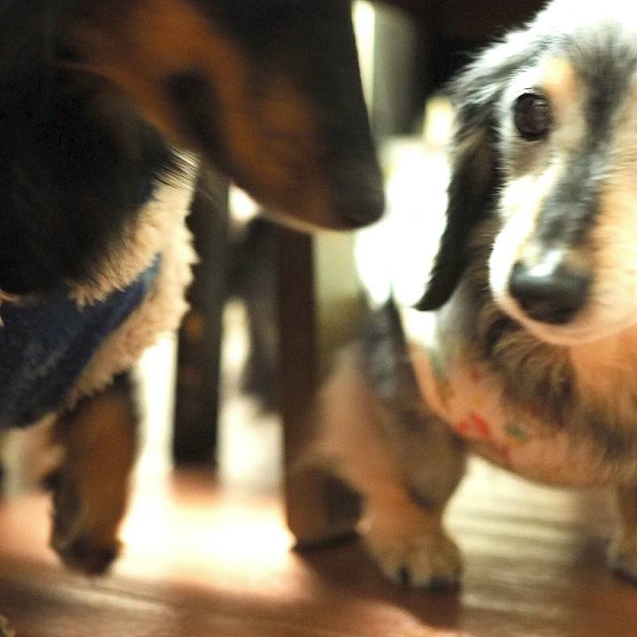 3f0caebb d245 4440 801e 492faeebcafd