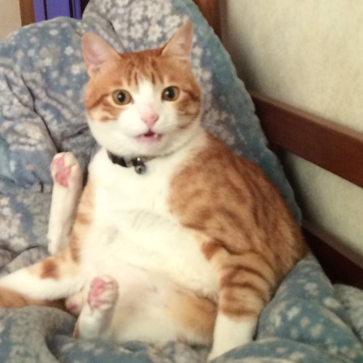 3f0d8efd 3403 4726 87c6 1189d11f5b38