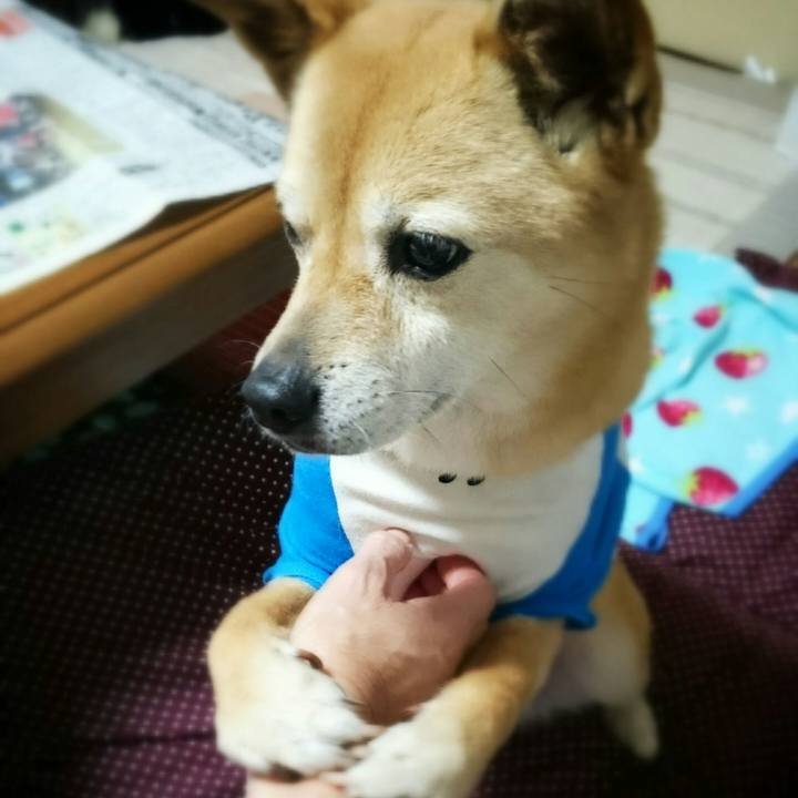 3f0de6e1 2a92 4de3 bda8 d0ba3d6b8eaf