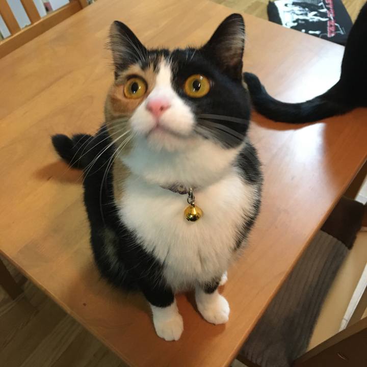 3f0e19a6 700c 4f8d 9dca 99f521d6281e