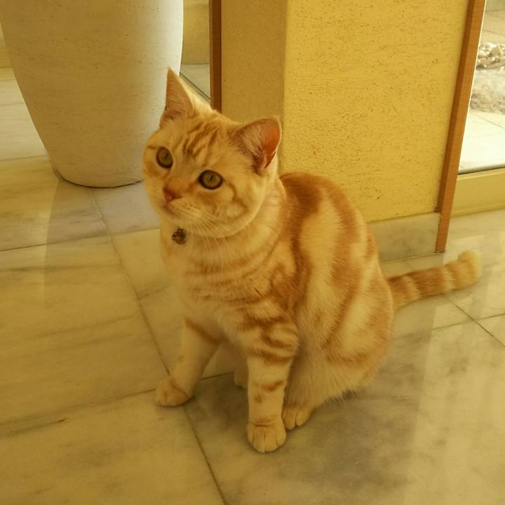 3f0fb4ef 29c4 4dba acc0 ffaac06ae31e